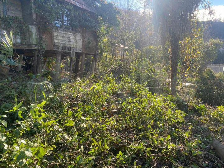 Участок 7,3 сот. (СНТ, ДНП)