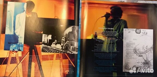 Виниловая пластинка WM Alphaville Forever Young (S