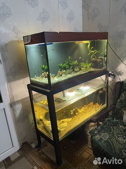Аквариум