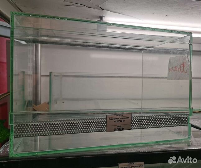 Террариум для эублефара и хамелеона