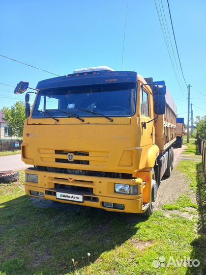 КАМАЗ 65117, 2010