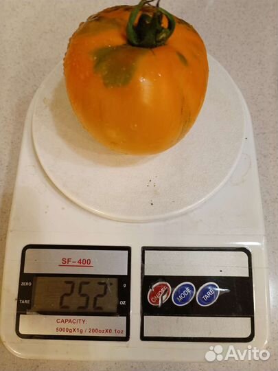 Помидоры