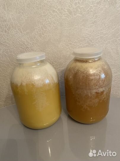 Мед сбор 2023