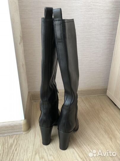 Сапоги женские carlo pazolini