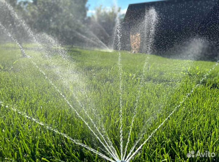 Рулонный газон