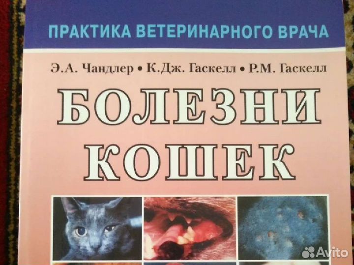 Болезни кошек Нефрология Анатомия Рентген