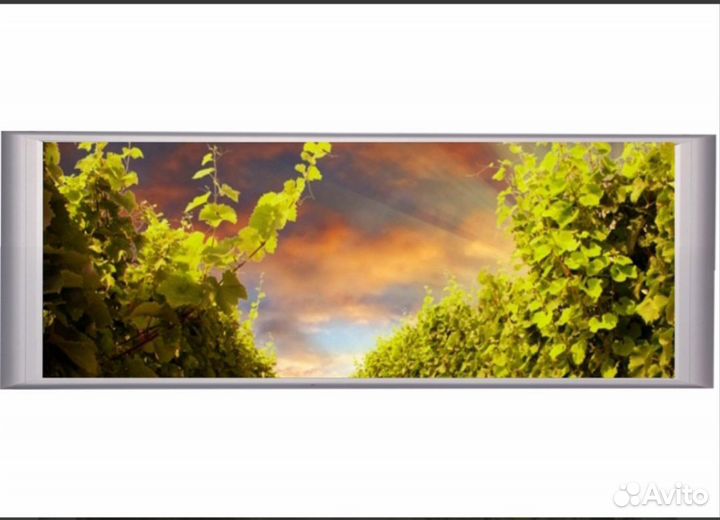 Электрический инфракрасный обогреватель Пион