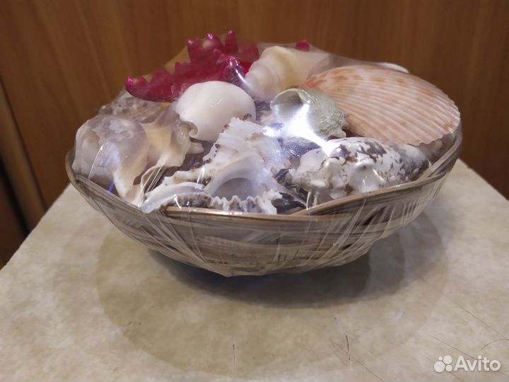 Морская звезда и ракушки