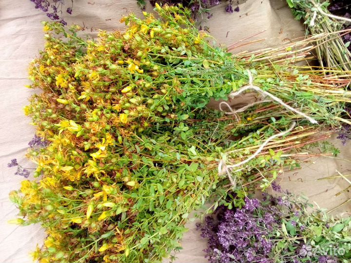 Душица, зверобой, мились2023