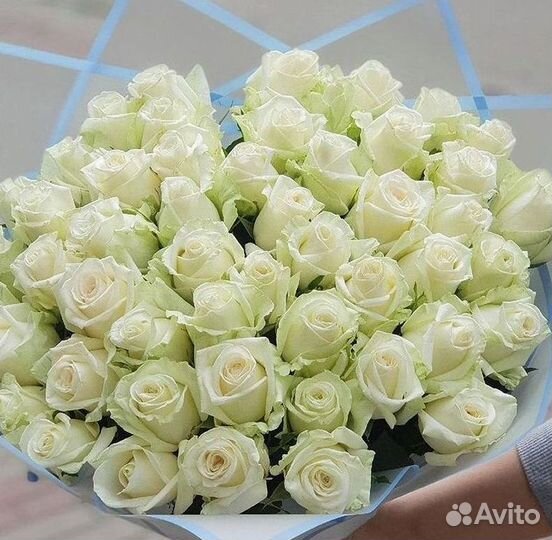 Высокие розы