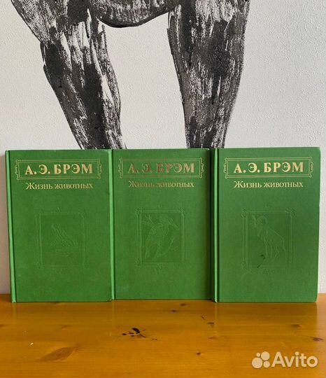 Книги Брэма: Жизнь животных