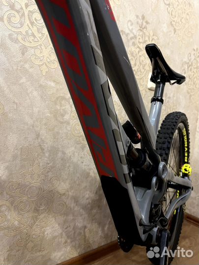 Pivot Phoenix 29 (2022)