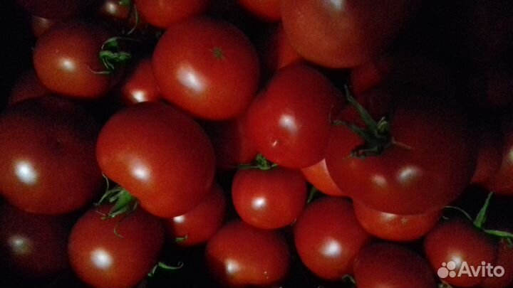 Помидоры