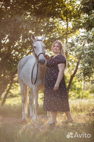 Конные прогулки на лошадях