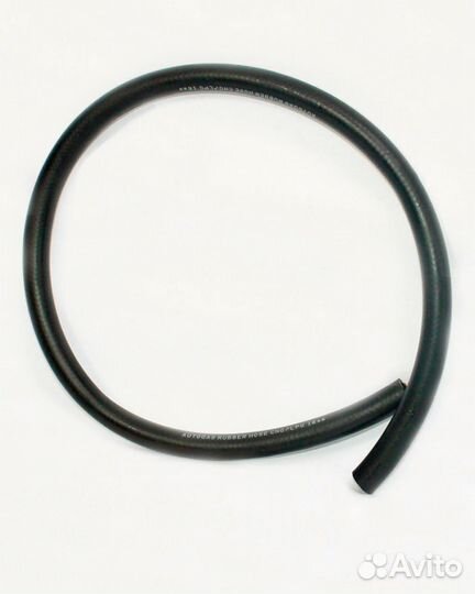 Шлонг для гбо