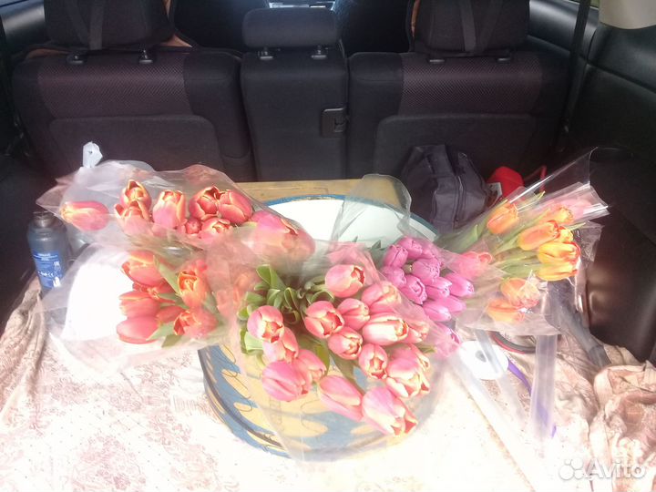 Цветы тюльпаны