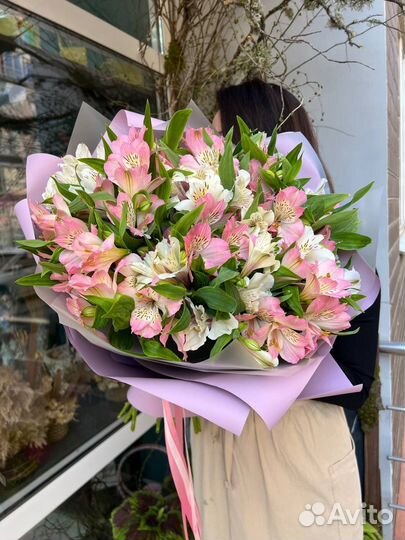 Альстромерия Лилия Перуанская