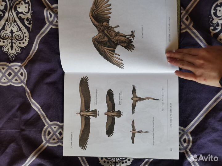 Книга воскреситель