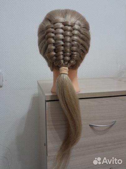 Учебная голова