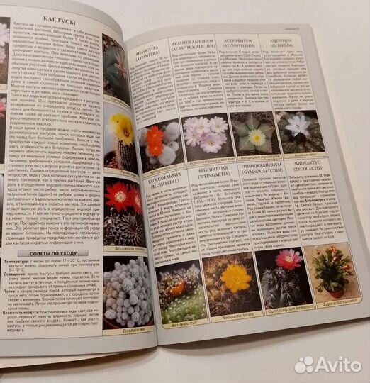 Книга Новая Ян Ван Неер Всё о комнатных растениях