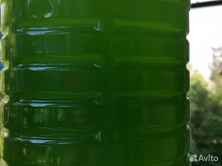 Хлорелла для пруда, любых водоемов и рыбоводства