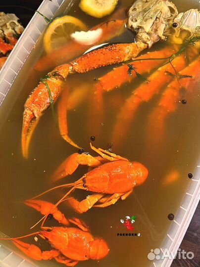 Раки вареные и живые. Свежий улов