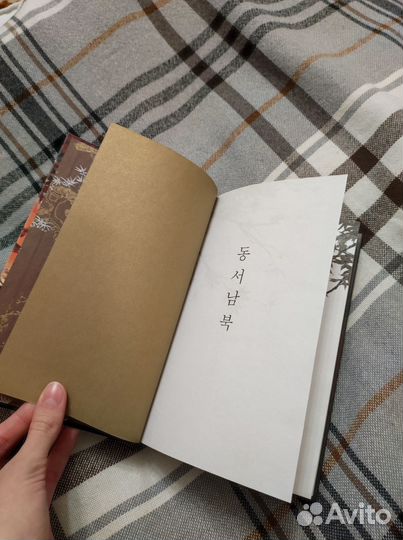 Лия Арден Двойник Запада