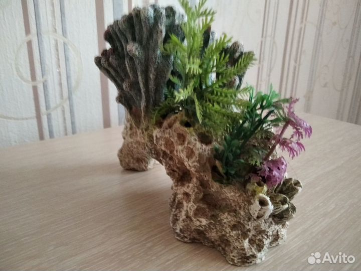 Для аквариума