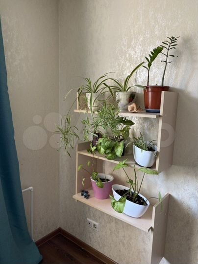 Комната 18 м² в 3-к., 5/5 эт.