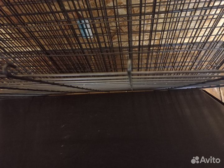 Клетки для собак и кошек большие