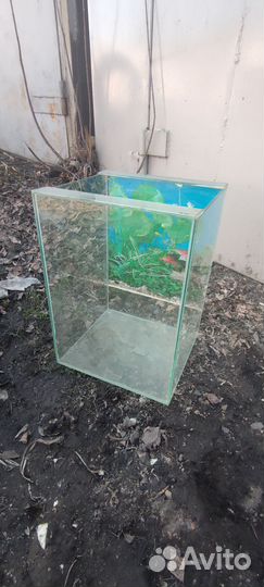 Аквариум