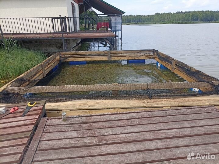 Садок для выращивания рыбы