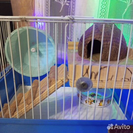 Клетка для хомяка