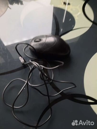 Мышка для компьютера