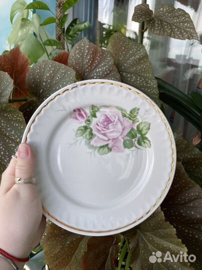 Тарелки столовые, СССР, 8 штук, Прокопьевский фз