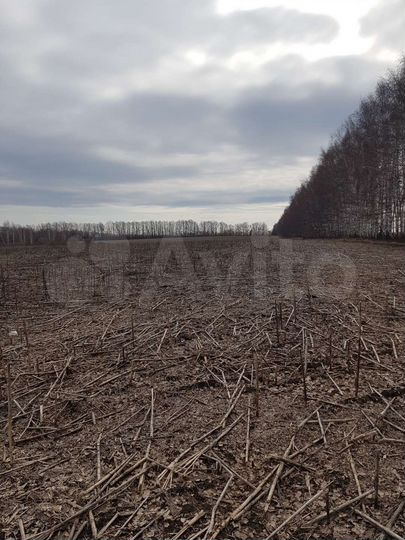 Участок 8 га (СНТ, ДНП)