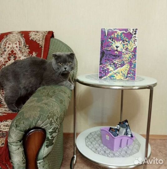 Подарок на день рождения