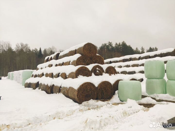 Сено в рулонах
