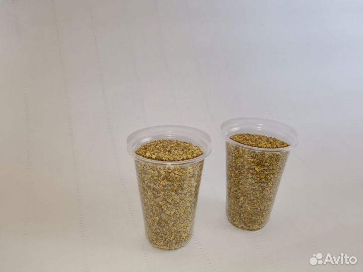 Пыльца пчелиная (обножка) 2024 год