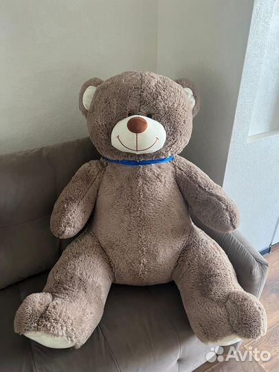 Медведь большой новый