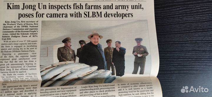 The Pyongyang Times”, 2015, №22, 30.05. кндр