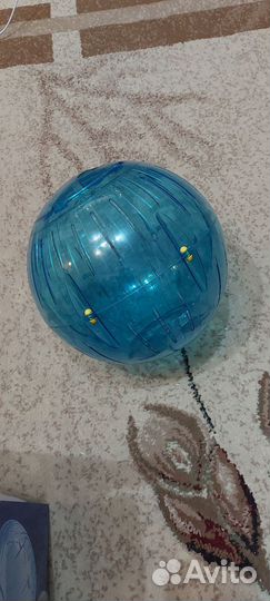 Шар для грызунов прогулочный