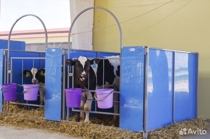 Домики для телят