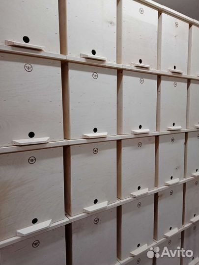 Ловушка для пчёл