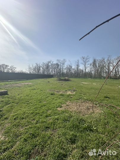 Продаю мини ферму