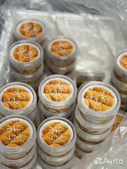 Икра Морского Ежа 0.50гр.Акустическая заморозка