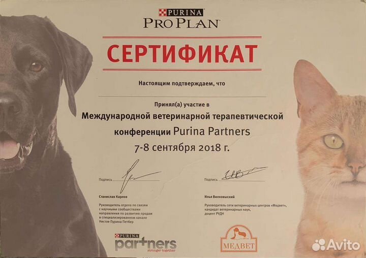 Ветеринарная круглосуточная помощь выезд на дом