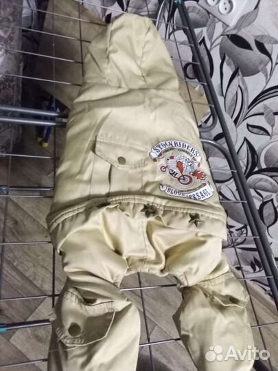 Зимний комбинезон для маленьких собак