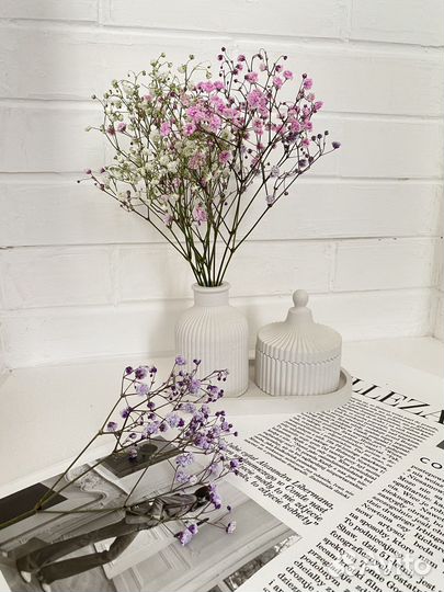 Декоративный набор для интерьера из гипса