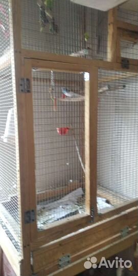 Большая клетка вольер для птиц или грызунов